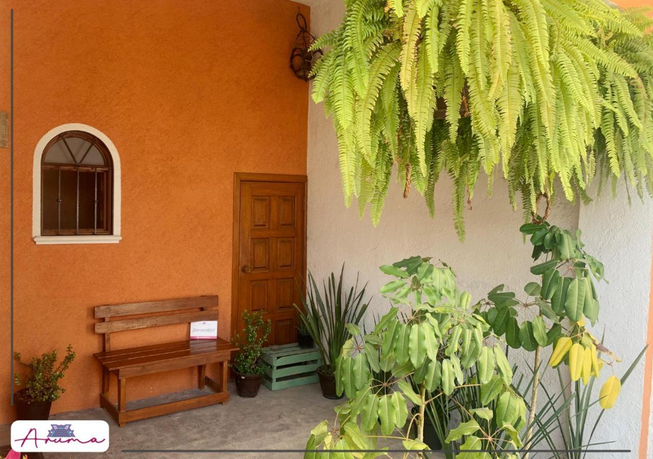 Aruma Cuernavaca Eksteriør bilde
